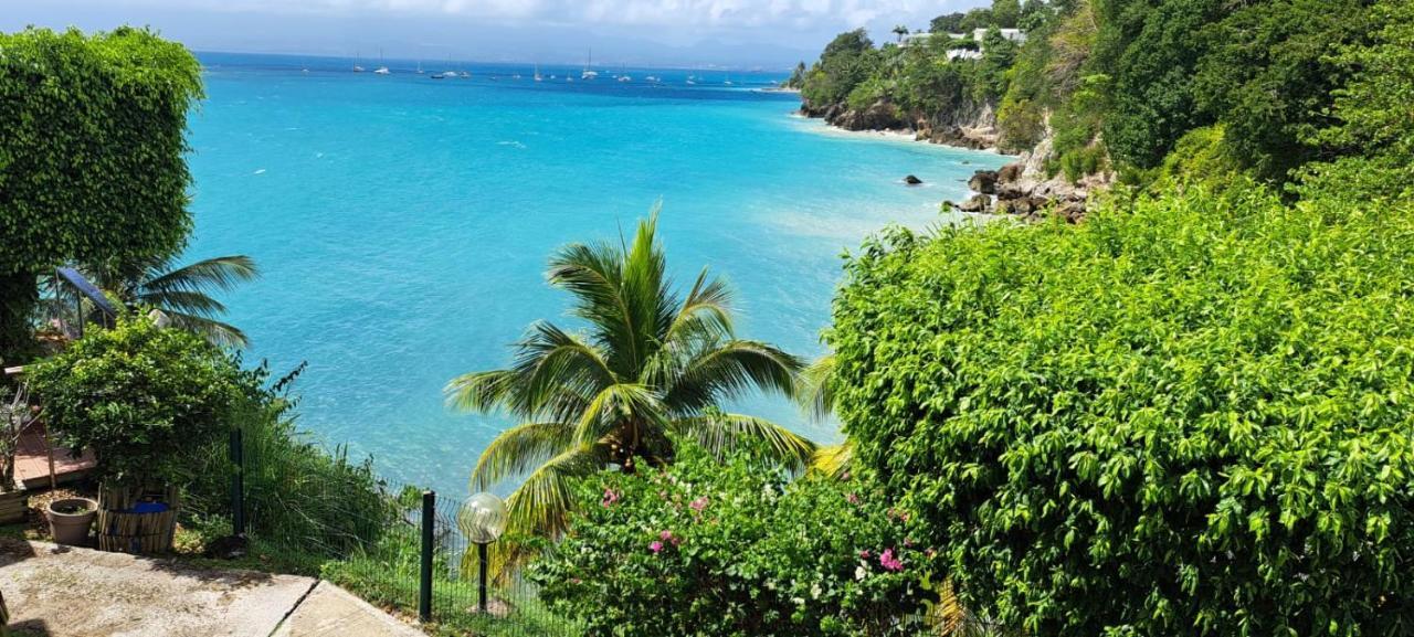 Vue Mer, Piscine, Appartement 4 Personnes Le Gosier  Exterior foto